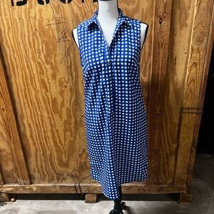 The Limited Blue and White Checkered Dress